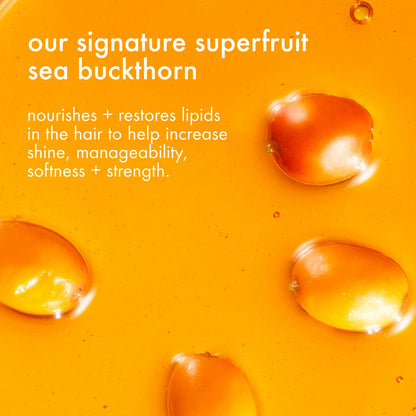 water sign hydrating hair oil for dry hair