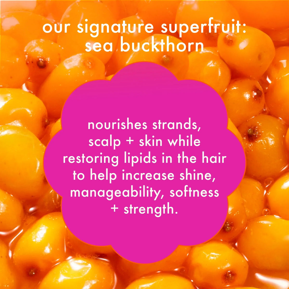 reset clarifying + cleansing gel shampoo - 6.7 oz / 200 ml